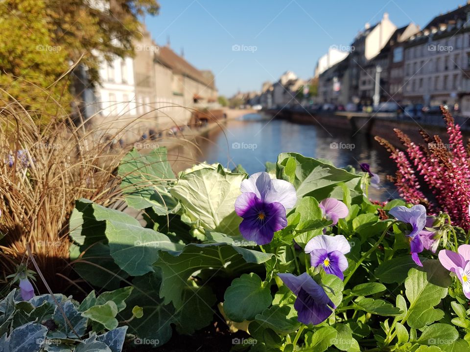 Strasbourg France