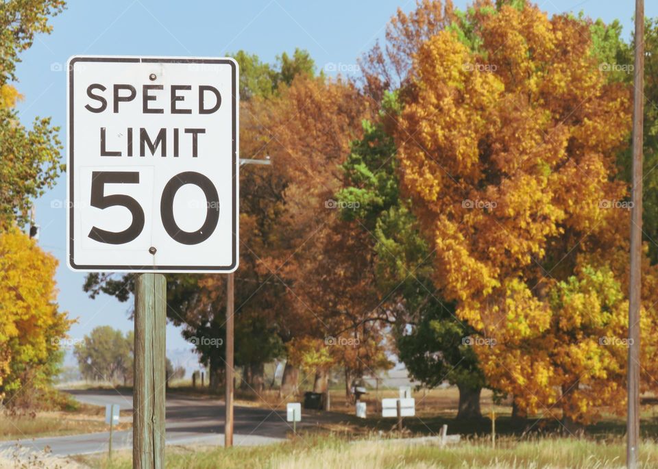 Speed limit of Fall’s gaze 