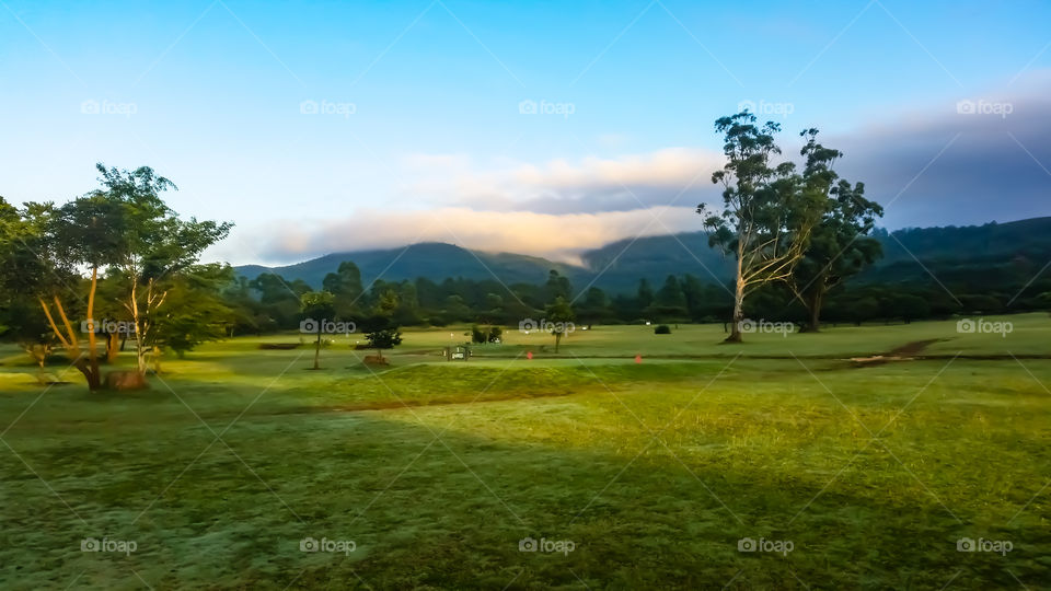 Early morning on the local golf course