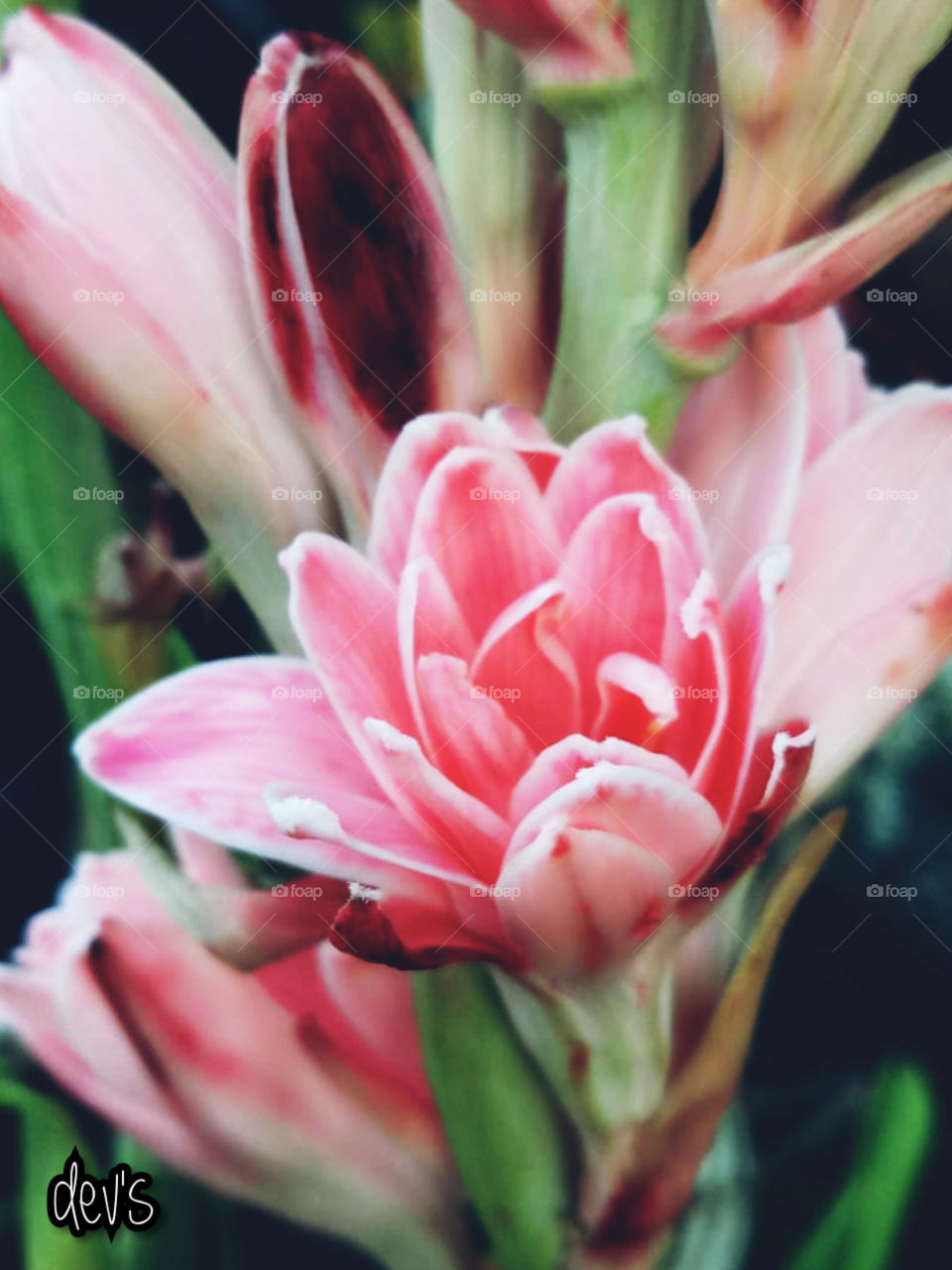 a life will be perfect with this