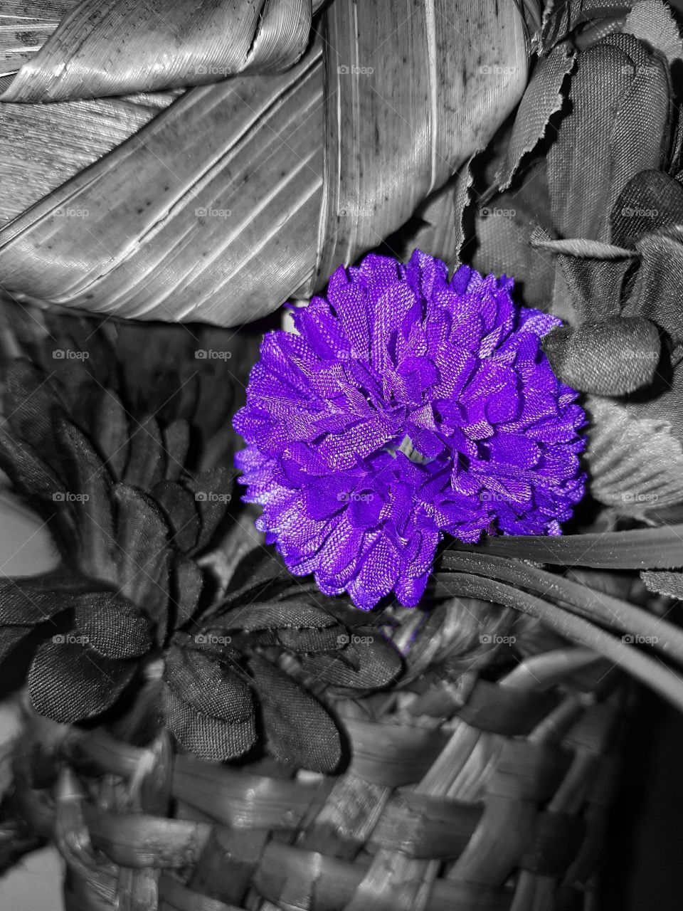 A dry arrangement made out of plants and artificial flowers. Highlight of a purple flower with everything else black and white.