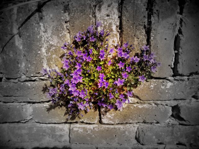 On the wall