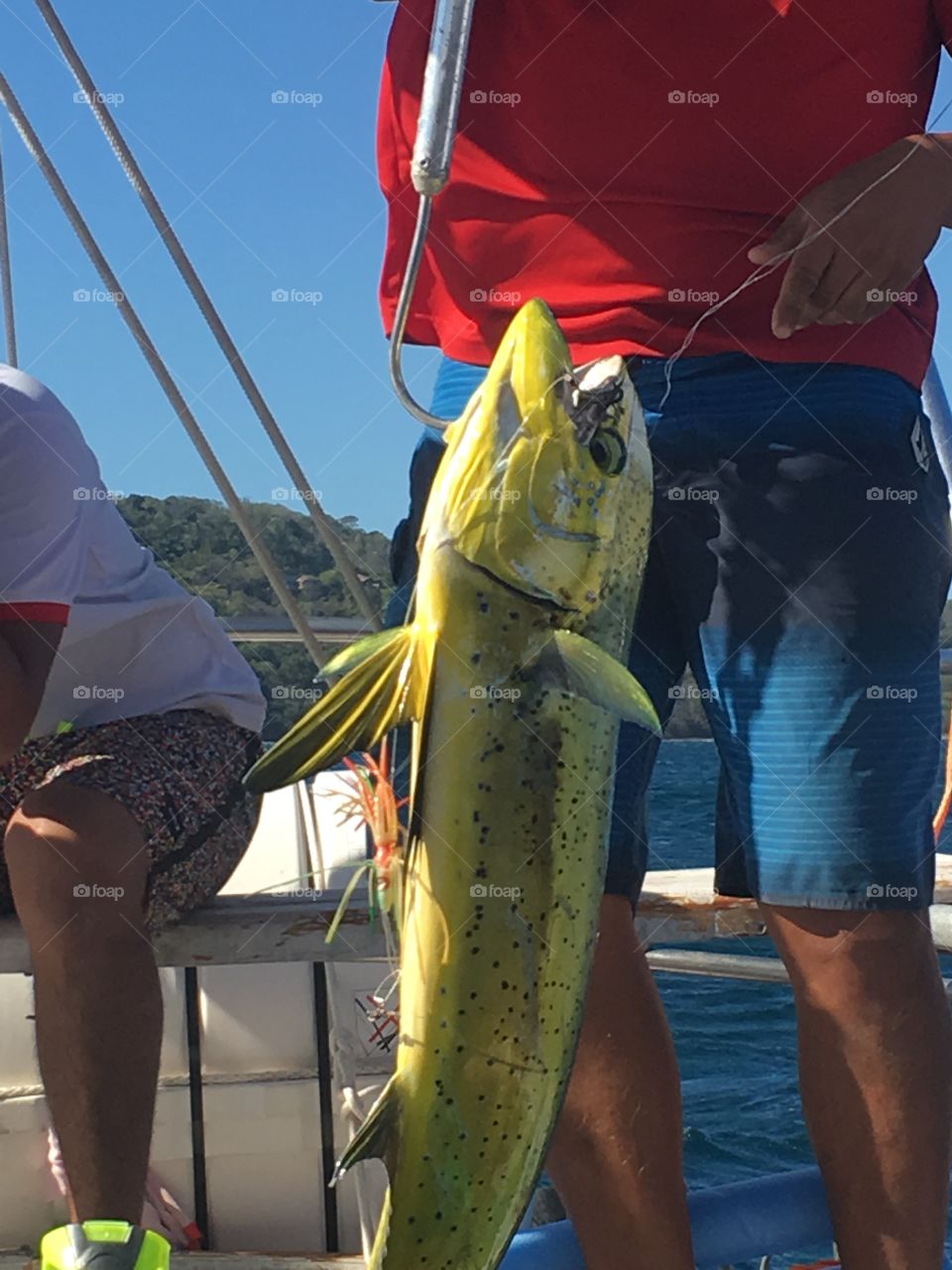 Man catches Mahi Mahi in Costa Rica 