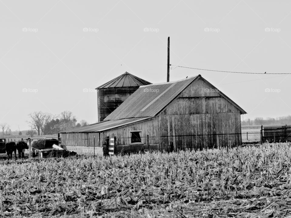 Old rustic barn in Indiana on a winter day in black and white 