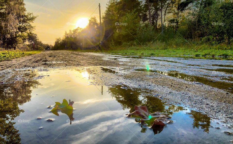Sunset sky reflected in the water of a puddle on a hike road in the woods after the rain