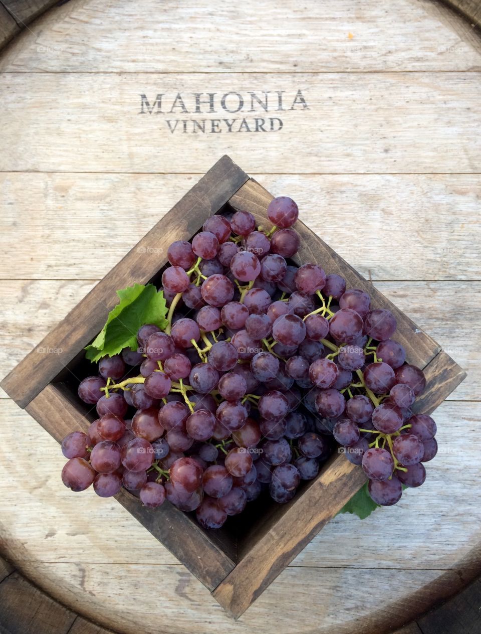 Grapes on a barrel 
