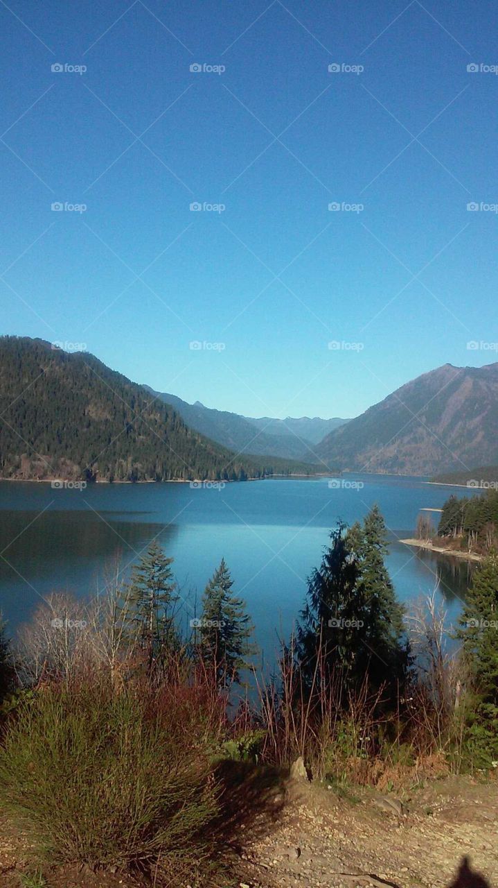 Lake Cushman Viewpoint