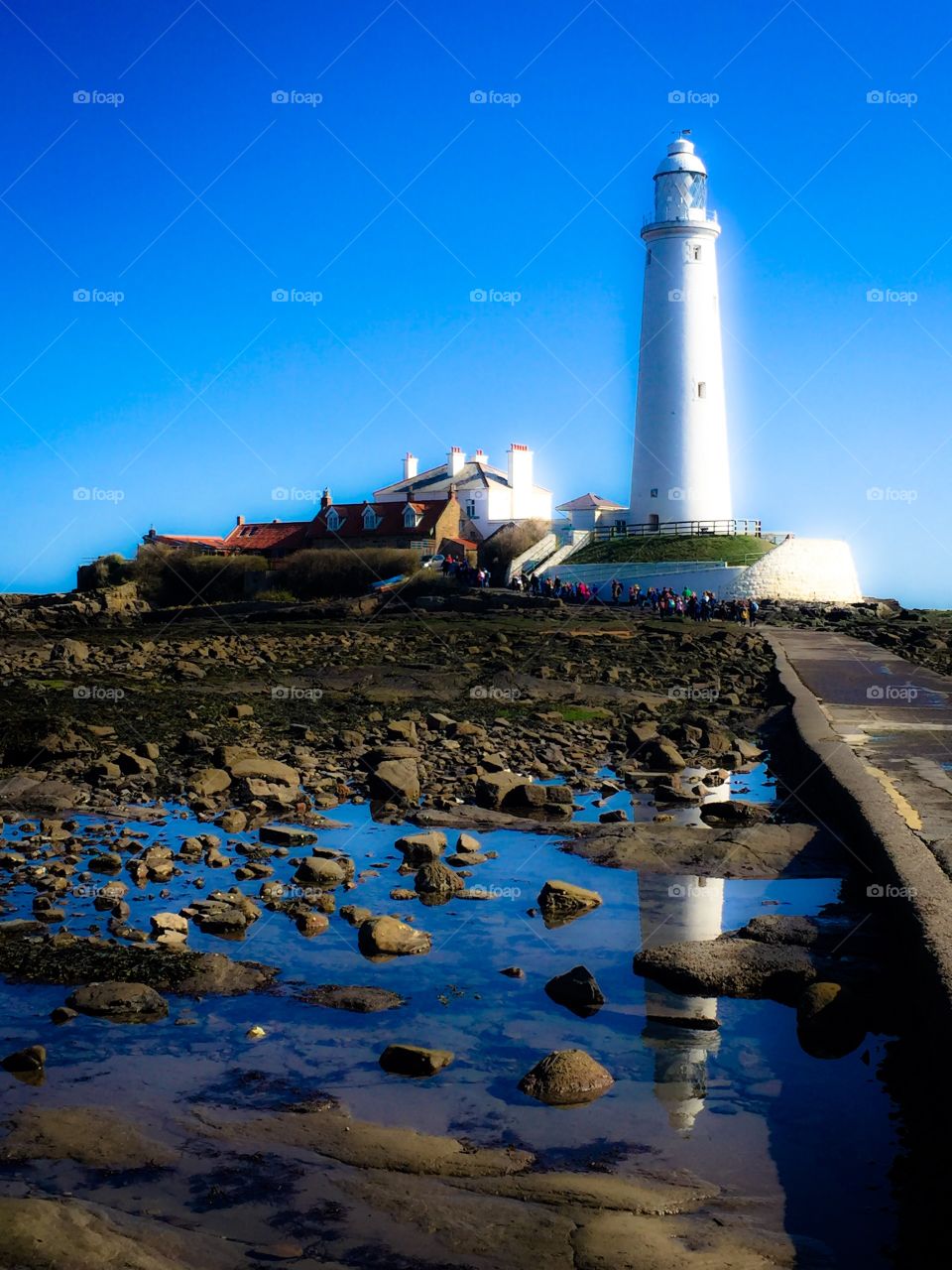 Lighthouse Dream