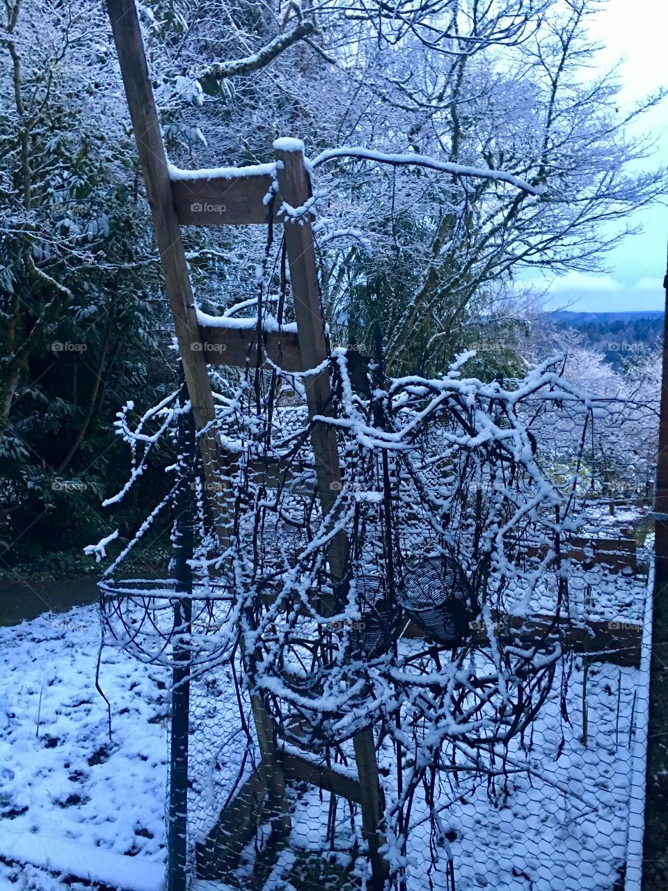 Snow can beautify anything. 