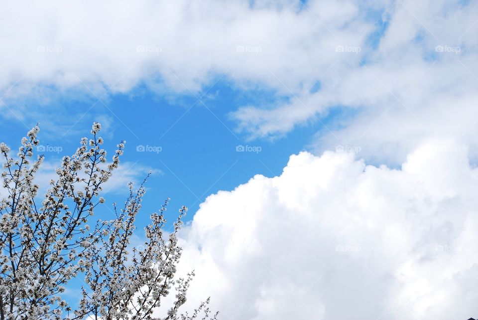 Blue Sky Fluffy Clouds
