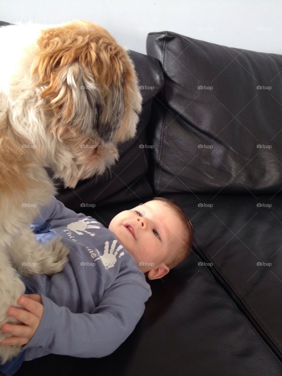 Boy and puppy 