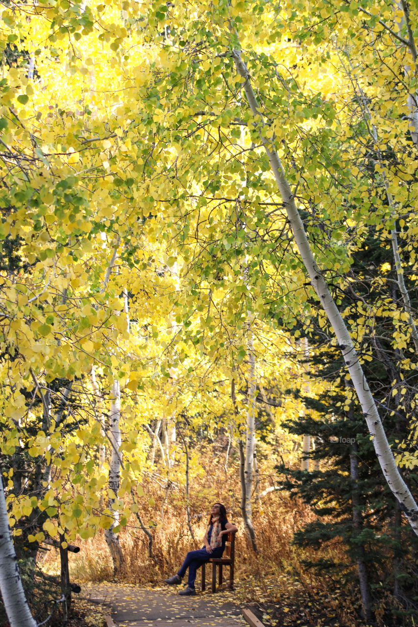 A woman surrounded by the beauty of fall colors 