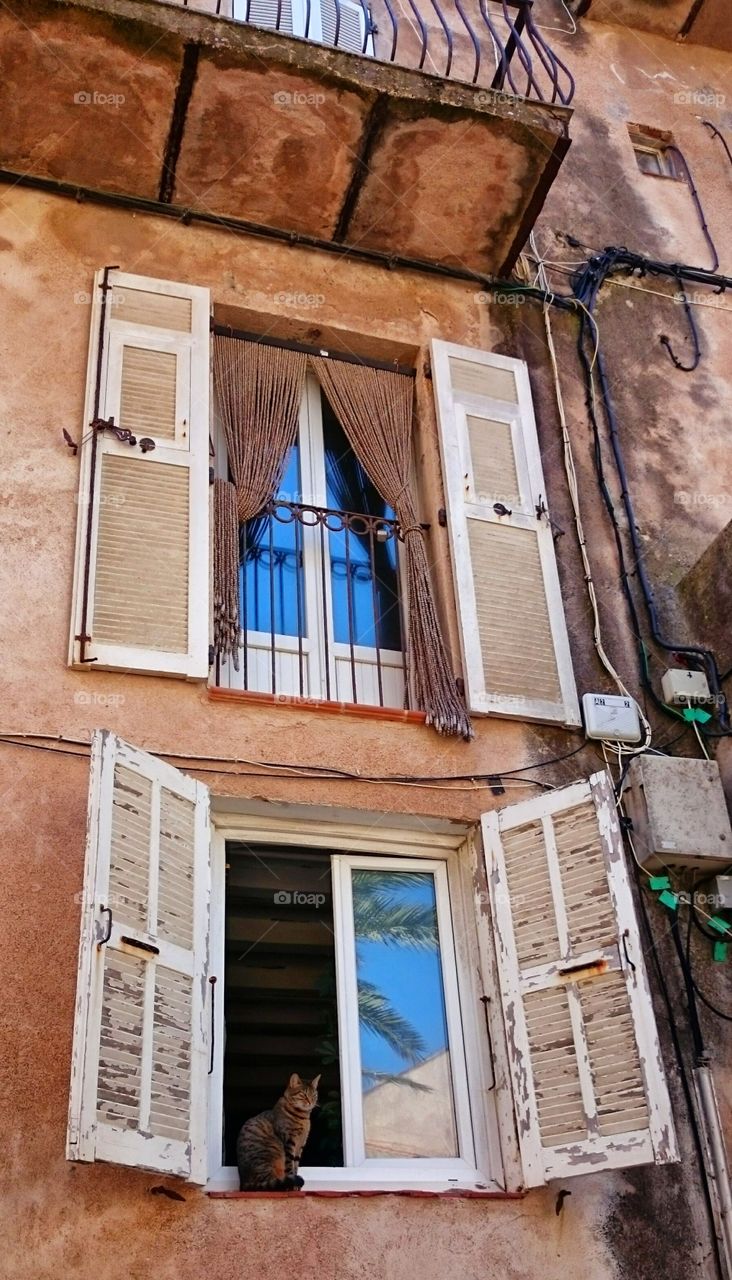 windows in old house. windows in old house