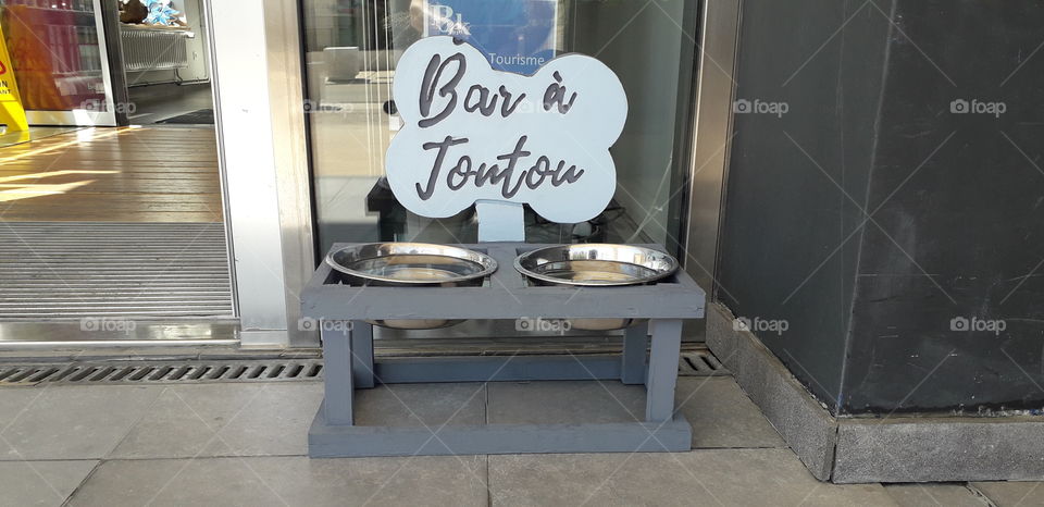 bar à toutou