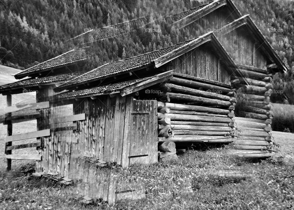 Abandon old wooden cabin, Austrian Alps 