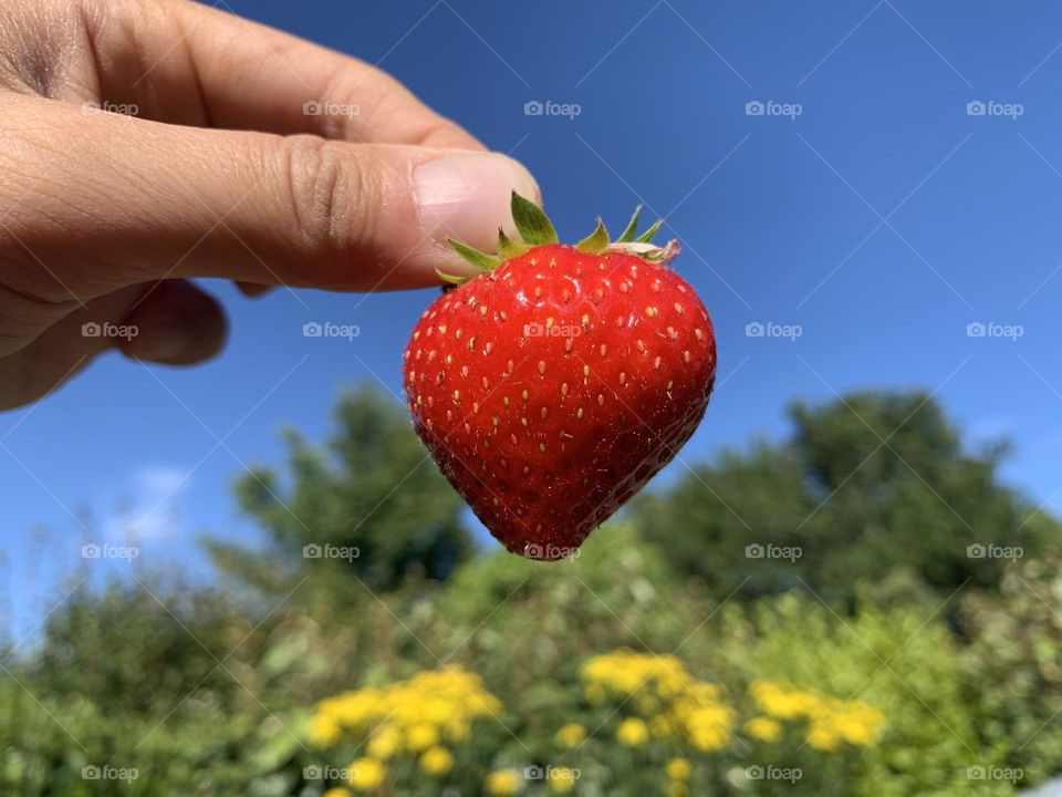 Be authentic : Summertime !