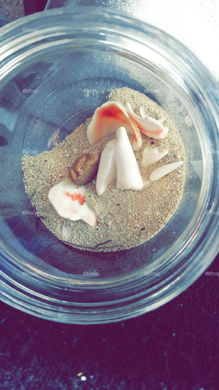 Bahama sand and shells.