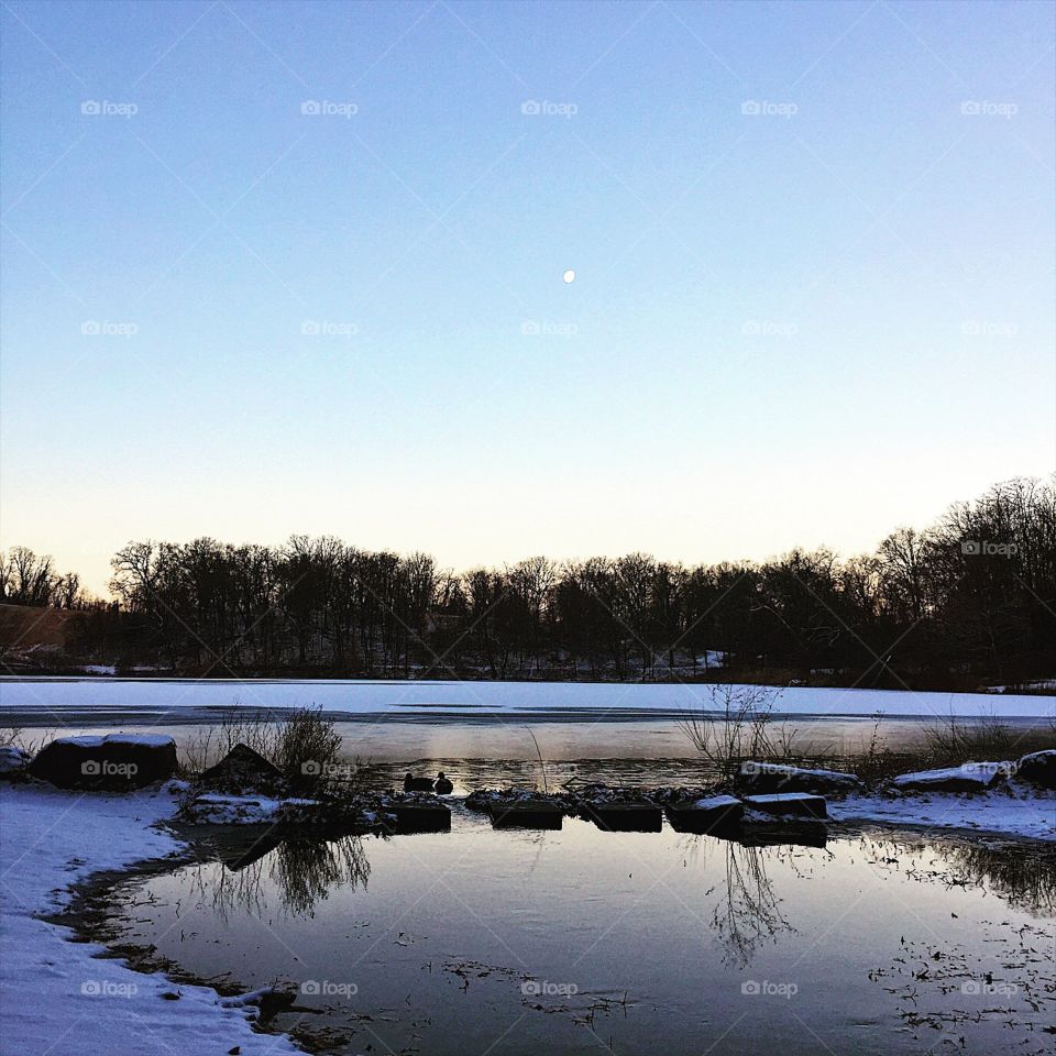 Up at dark o'clock again and back into the woods for running, meditation and solitude. It was a morning of the sun, the moon and some stars. With three ultra marathons on the calendar already for this year every run matters. My mantra when I run for a long time has been, "You can't break me."  It's a constant reminder that every day is a new day to endure and become stronger. 
