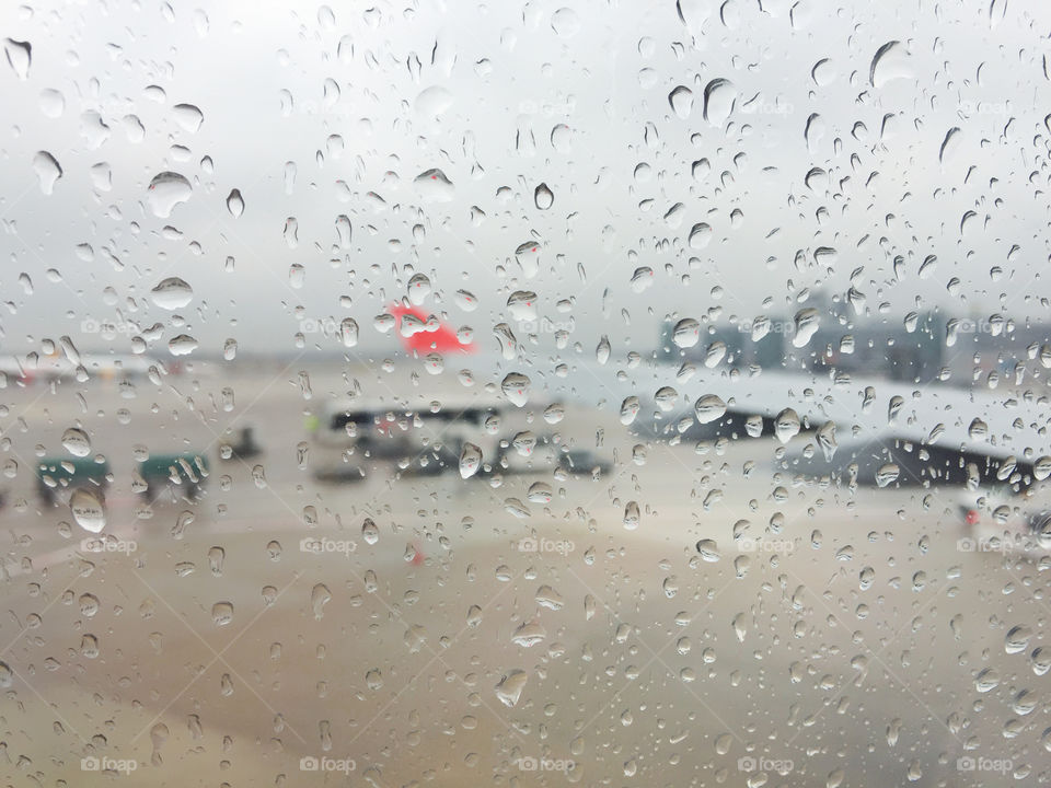 Waiting to fly under the rain