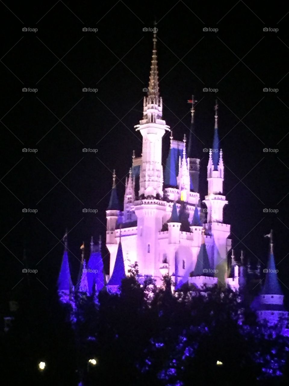 Cinderella' Castle