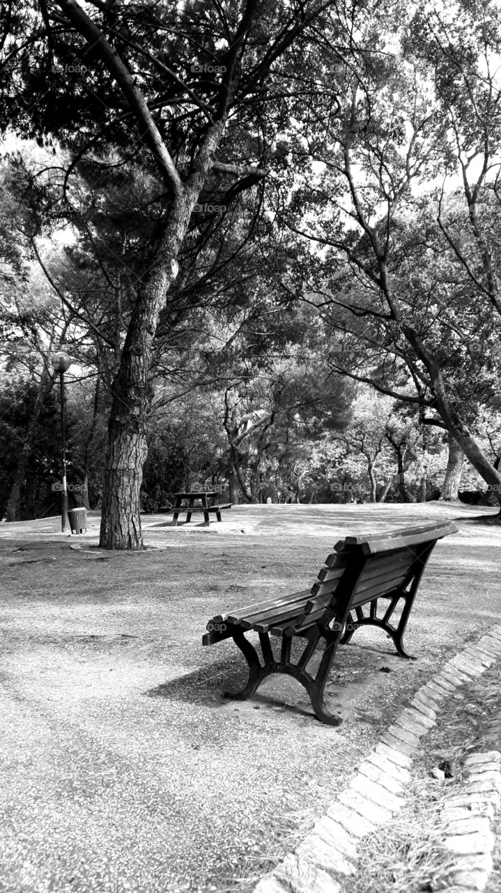 View of the Eduardo VII Park in Lisbon, Portugal.