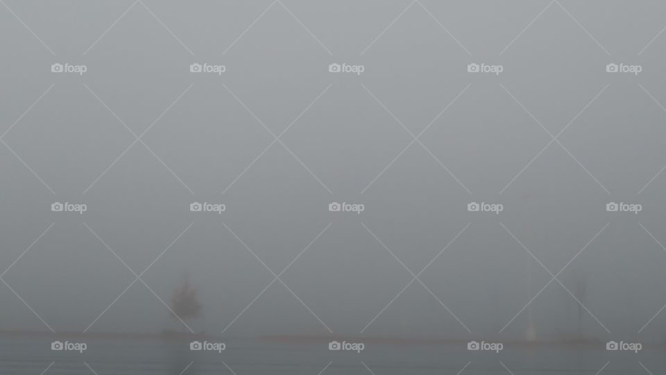 Fog, Bird, Art, Water, Lake