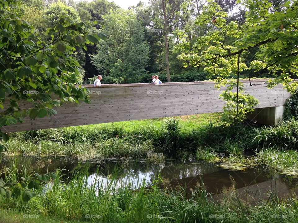 Wooden foot bridge. Zelazowa Wola park, F. Chopin's birth place
