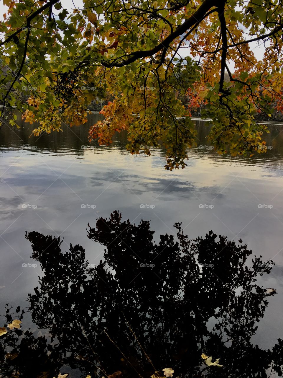 Yates Mill Historic Park 