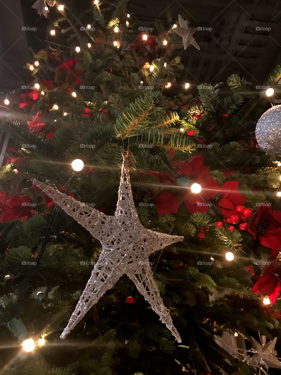 Beautiful Christmas tree, in Italy 