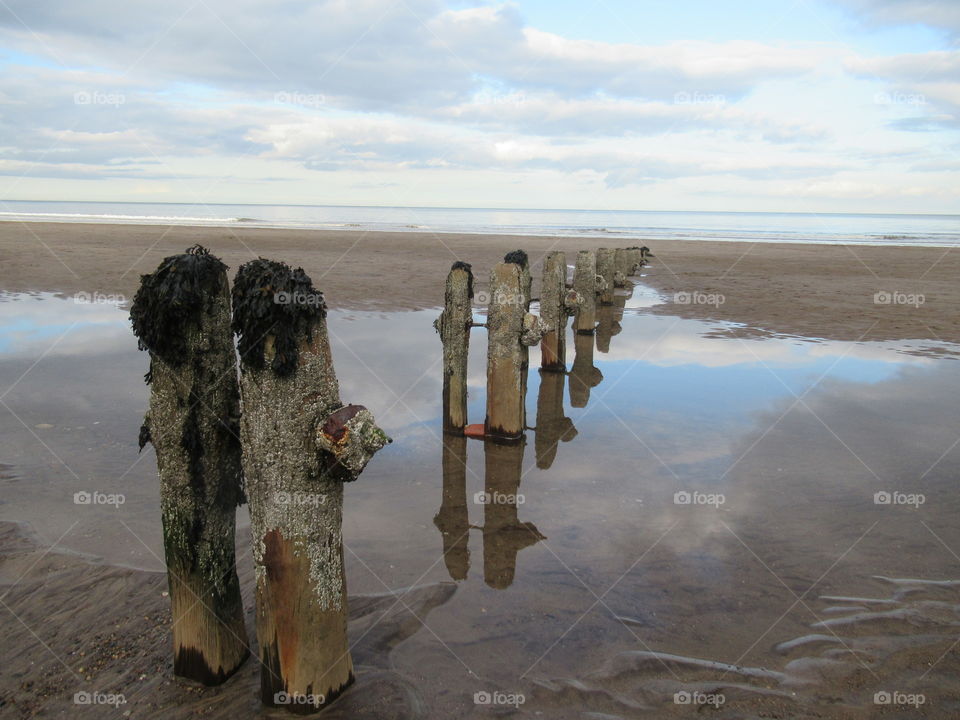 wooden pillars with seaweed on top of them at sandsend beach fishing village north Yorkshire