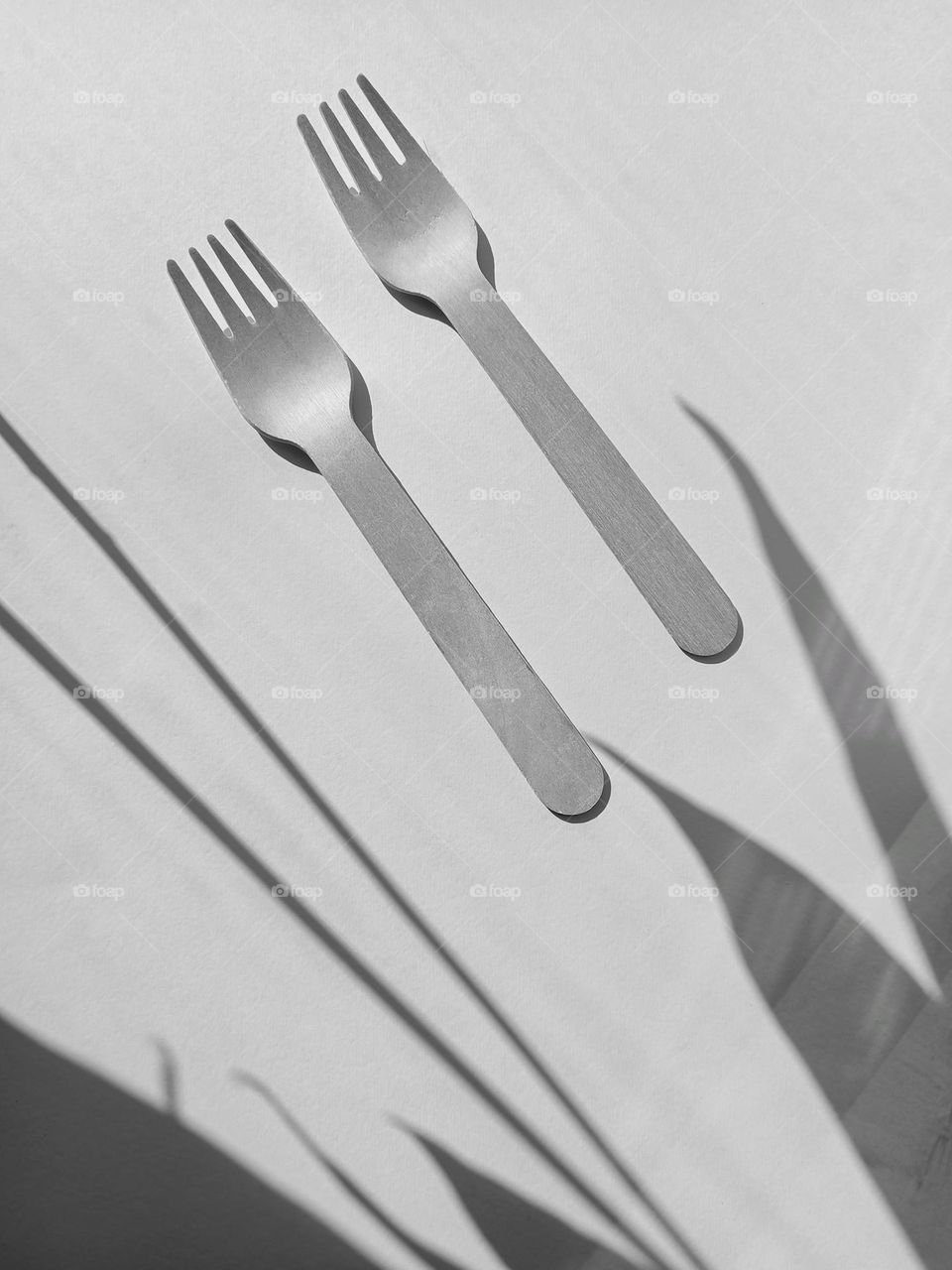 forks and shadows