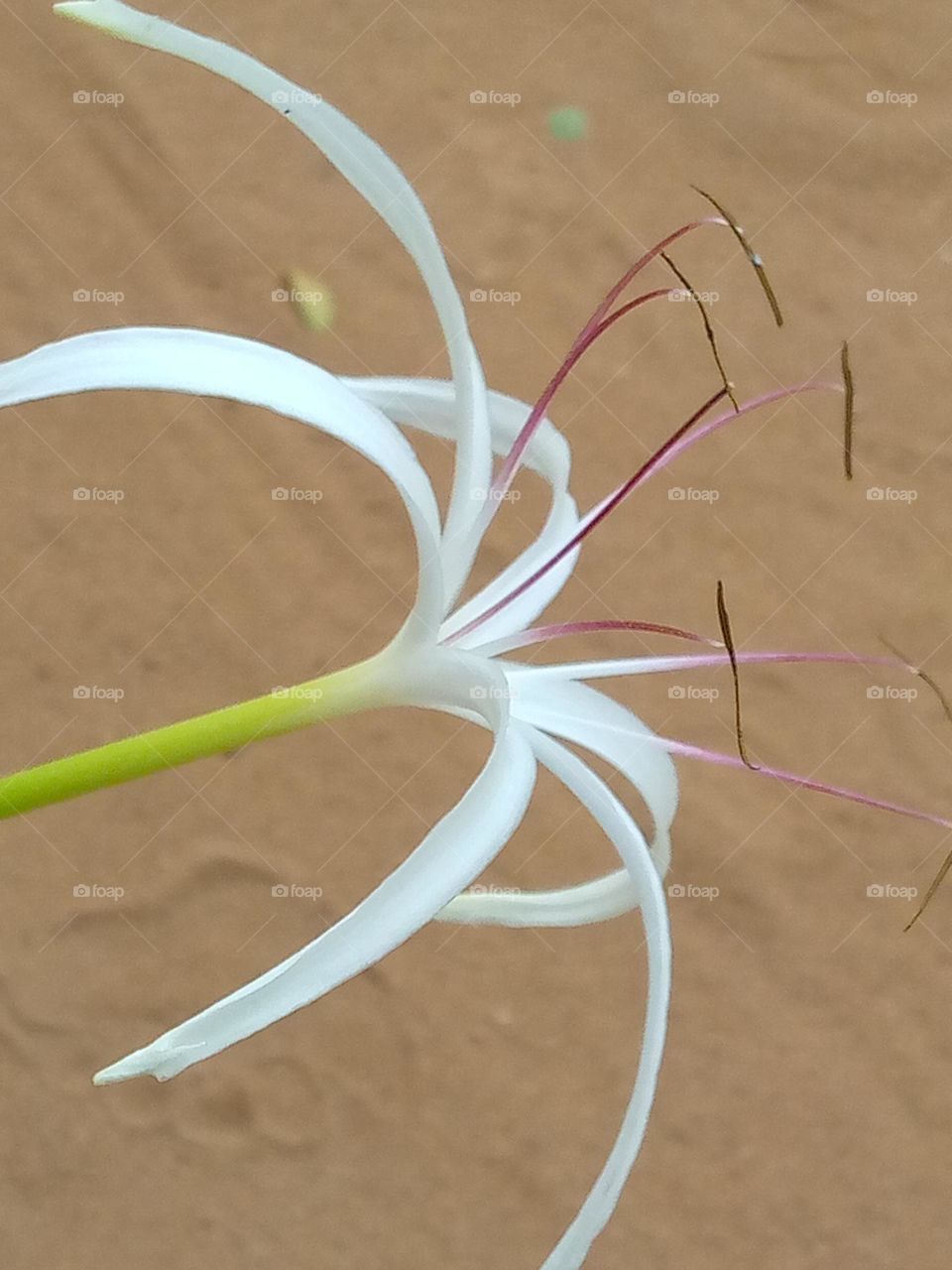 Brighten up your day