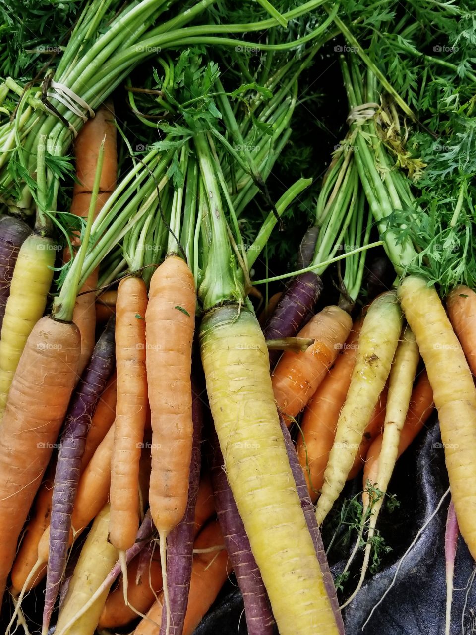 Fresh Carrot's from the local Market