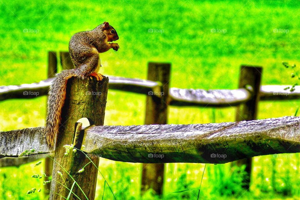Hanging out in the state park. 