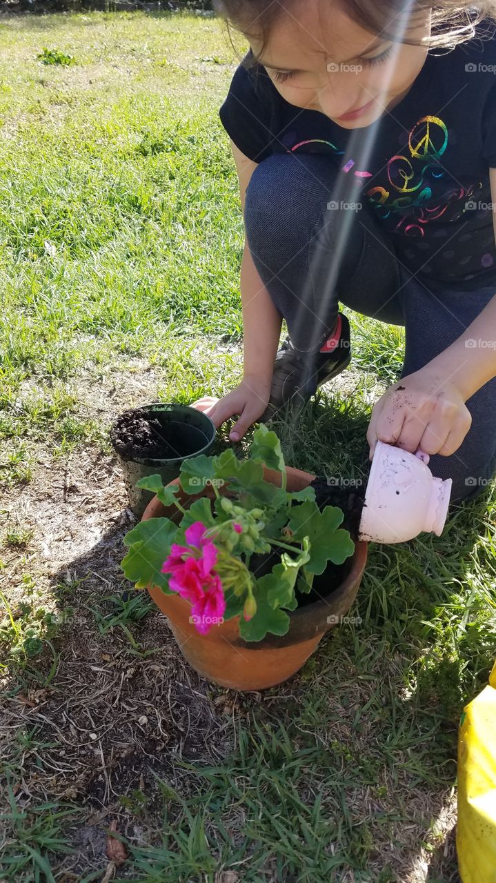 child planting a geranium