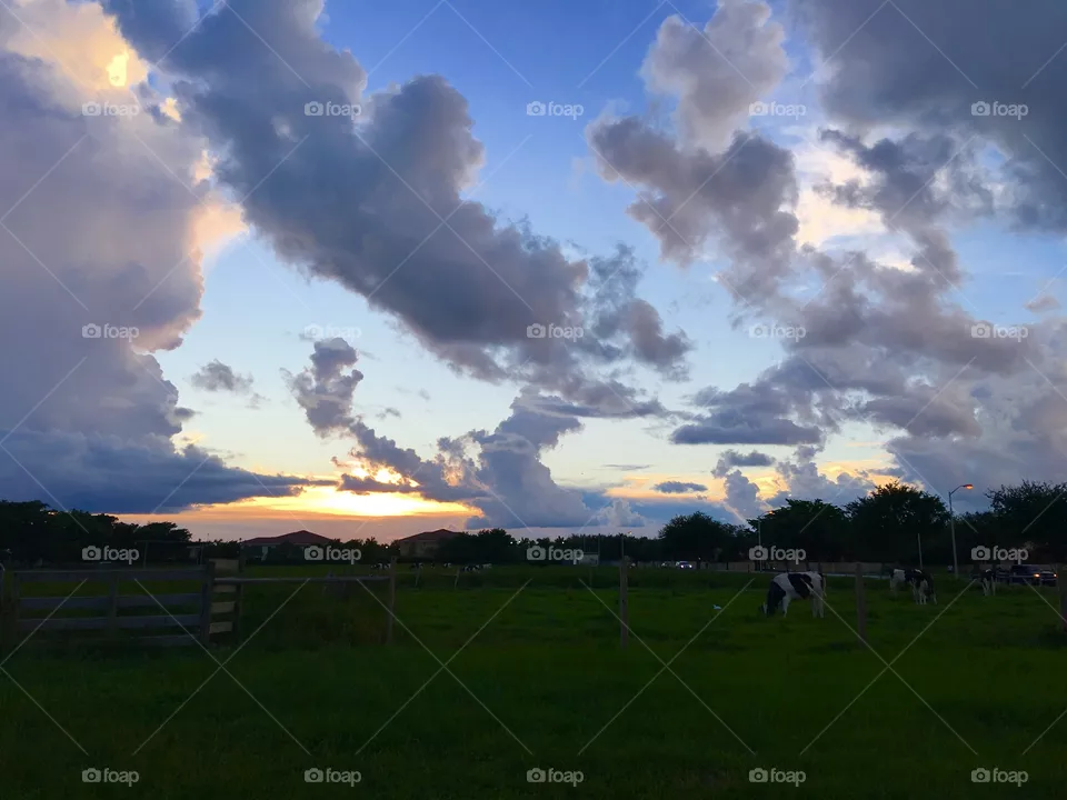 sky