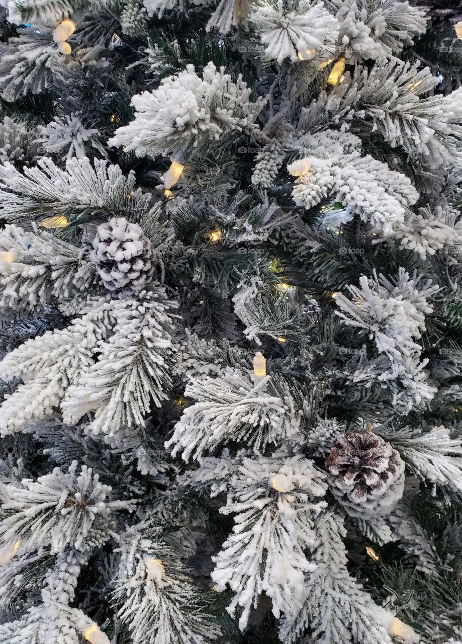 Christmas Tree of Snow and Lights