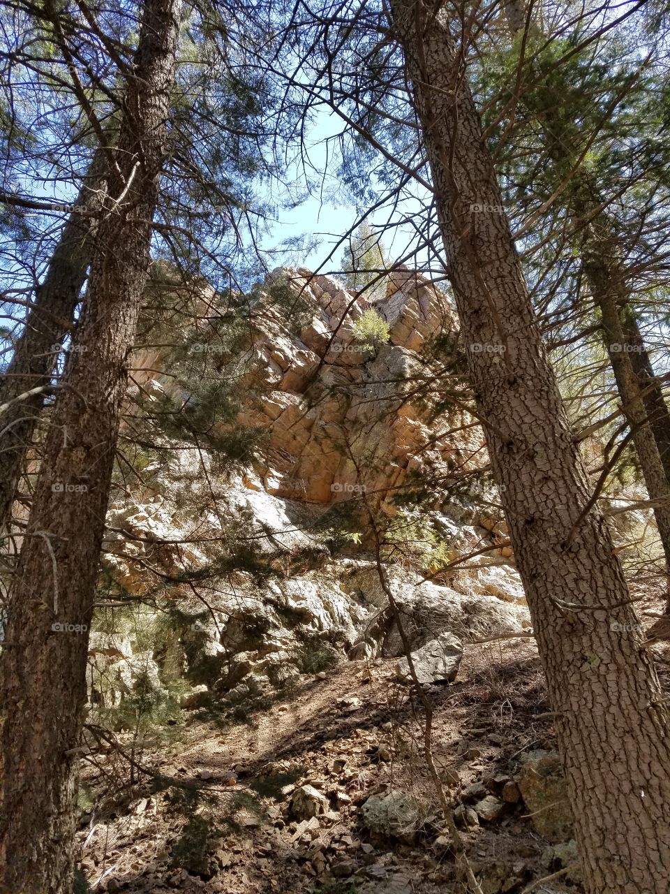 Colorado Mountainside