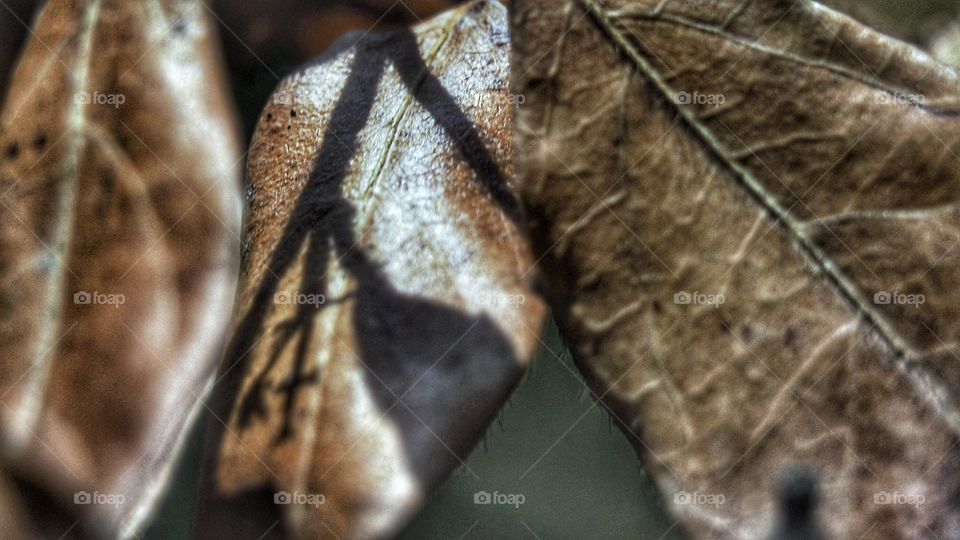 A las puertas del Otoño