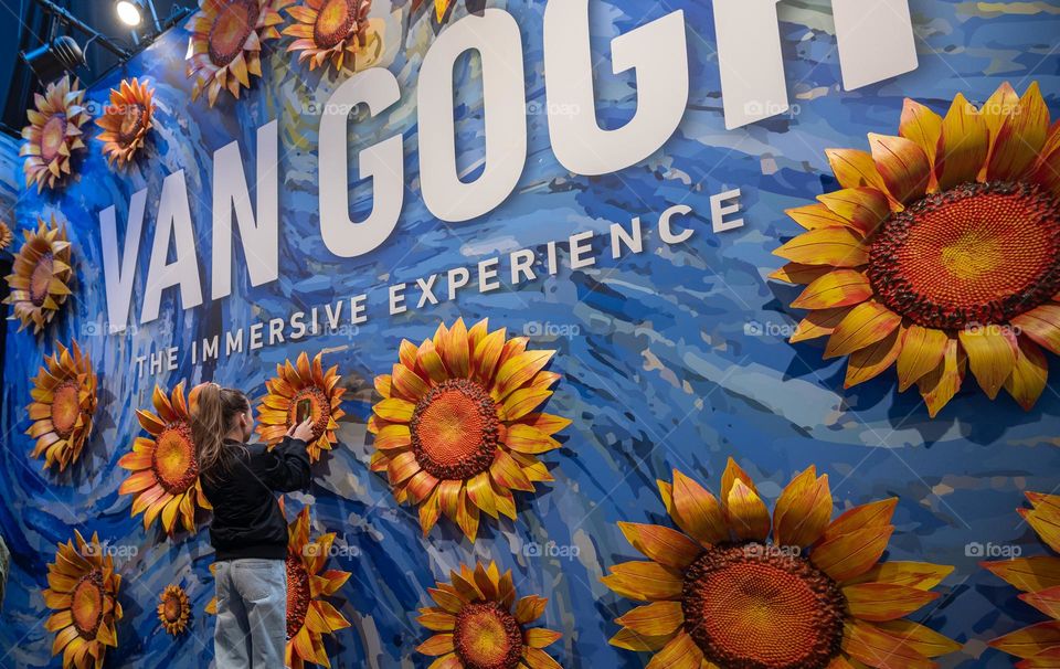 Girl taking picture of sunflower with her mobile phone.