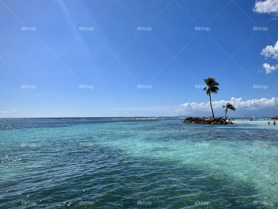 Island paradise 
