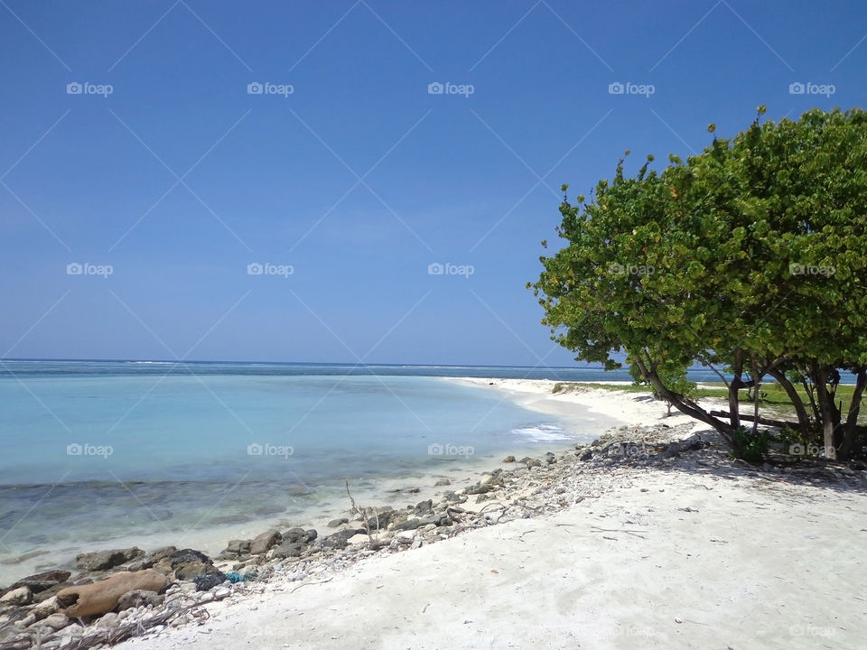 Maafushi Island