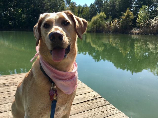 Resting at the lake after a long walk. 