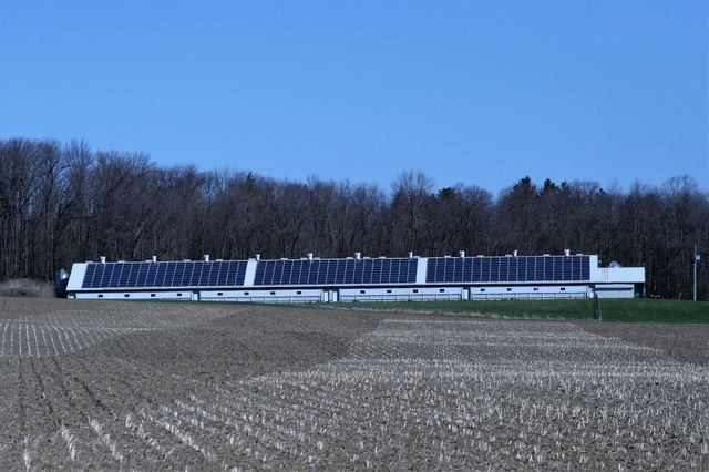solar panels