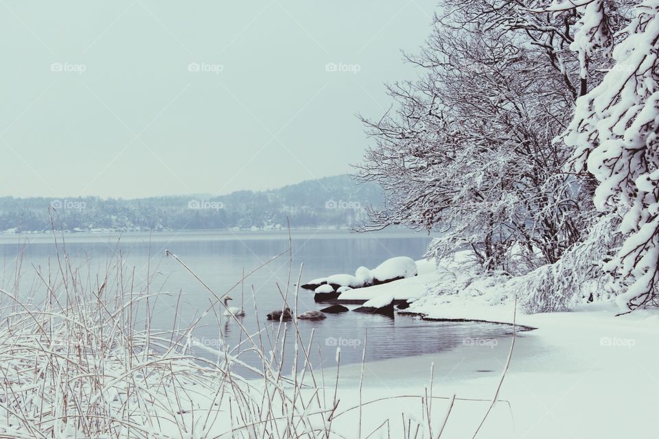 Scenic view of lake during winter