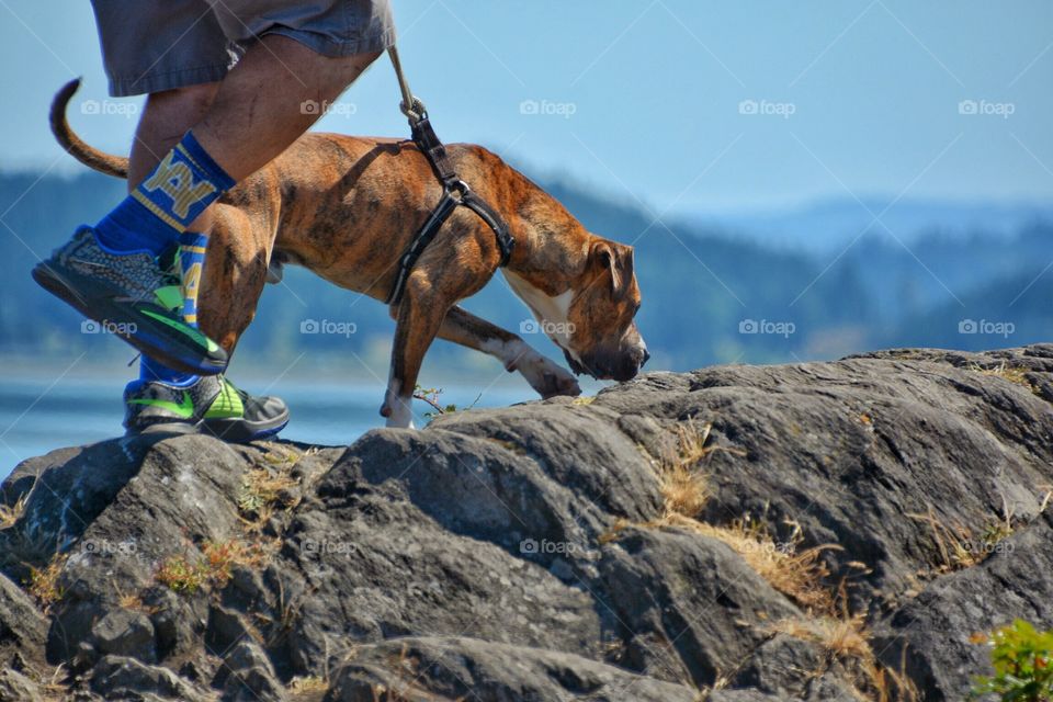 Hiking with dog