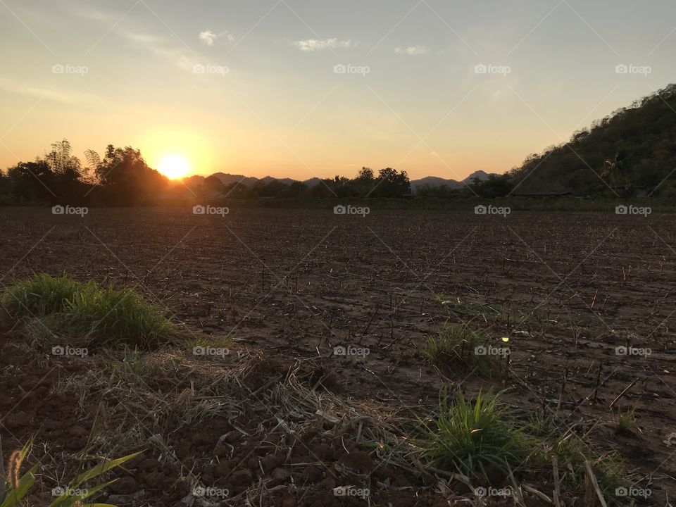 Sunset, Landscape, Dawn, Agriculture, Sun