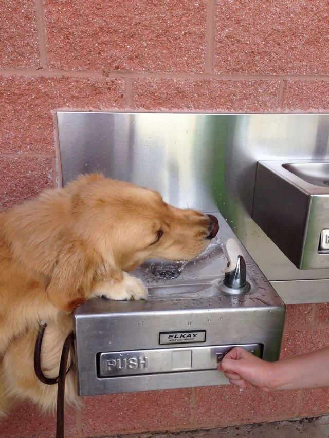 Thirsty