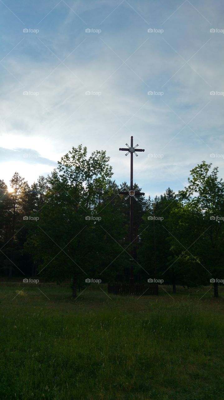 If you cannot do great things, do small things in a great way.