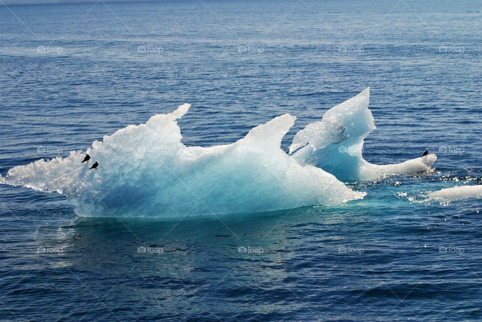 Ice from Meares Glacier in Prince William Sound